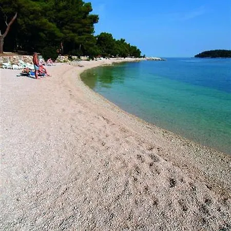 Radojka